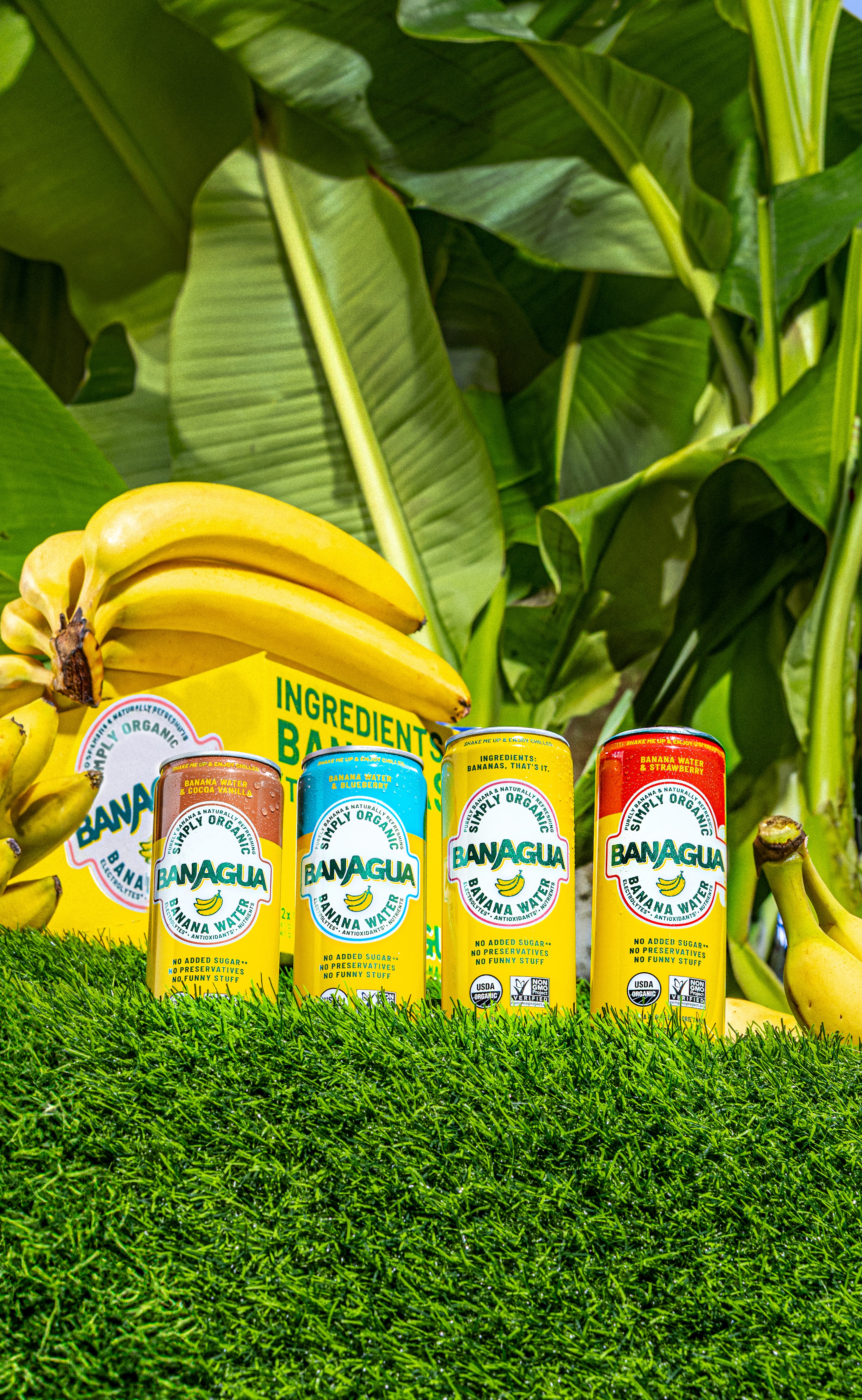 The Future of Natural Hydration